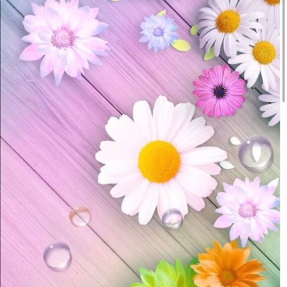 FREE SHIPPING  - Picture 1 of 1